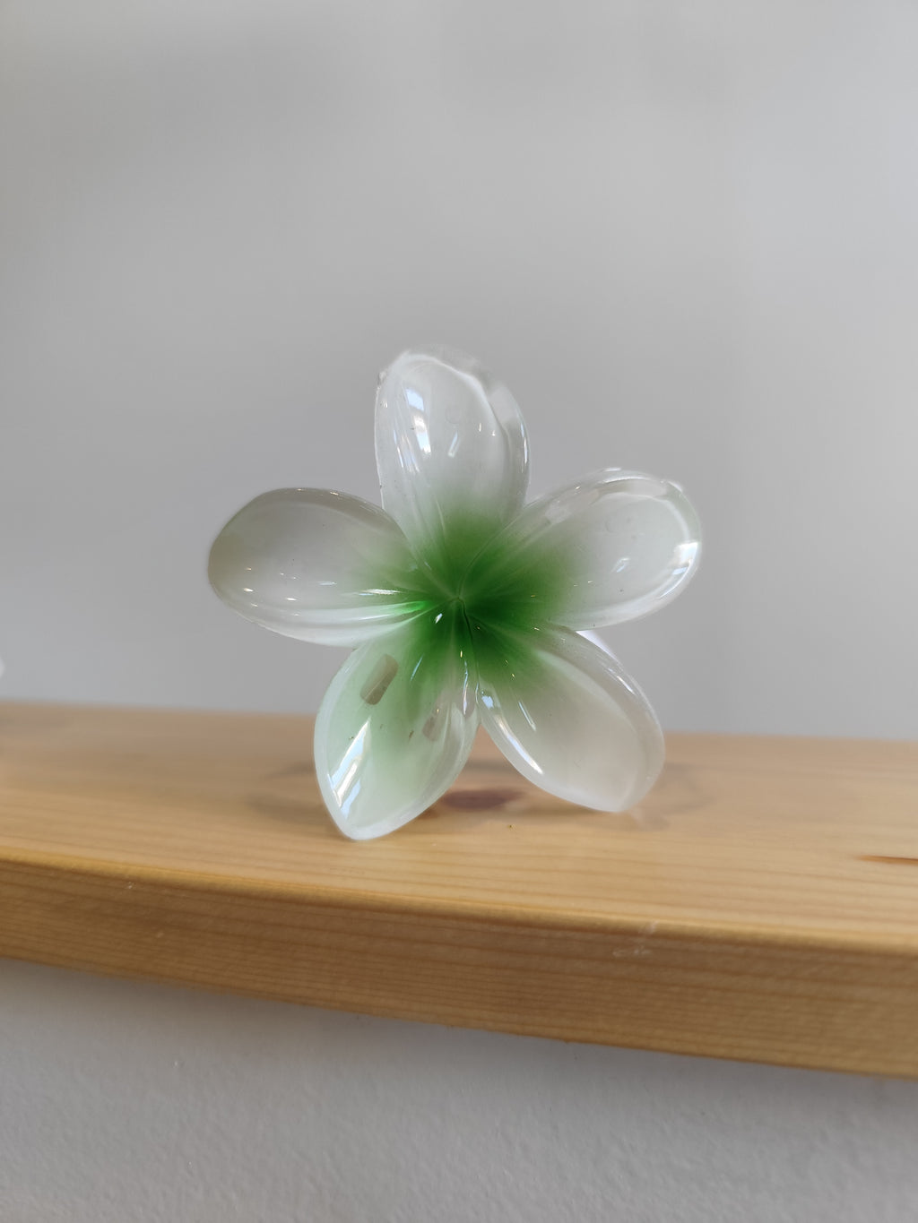 Pince à cheveux fleur de monoï – XL – 12 coloris