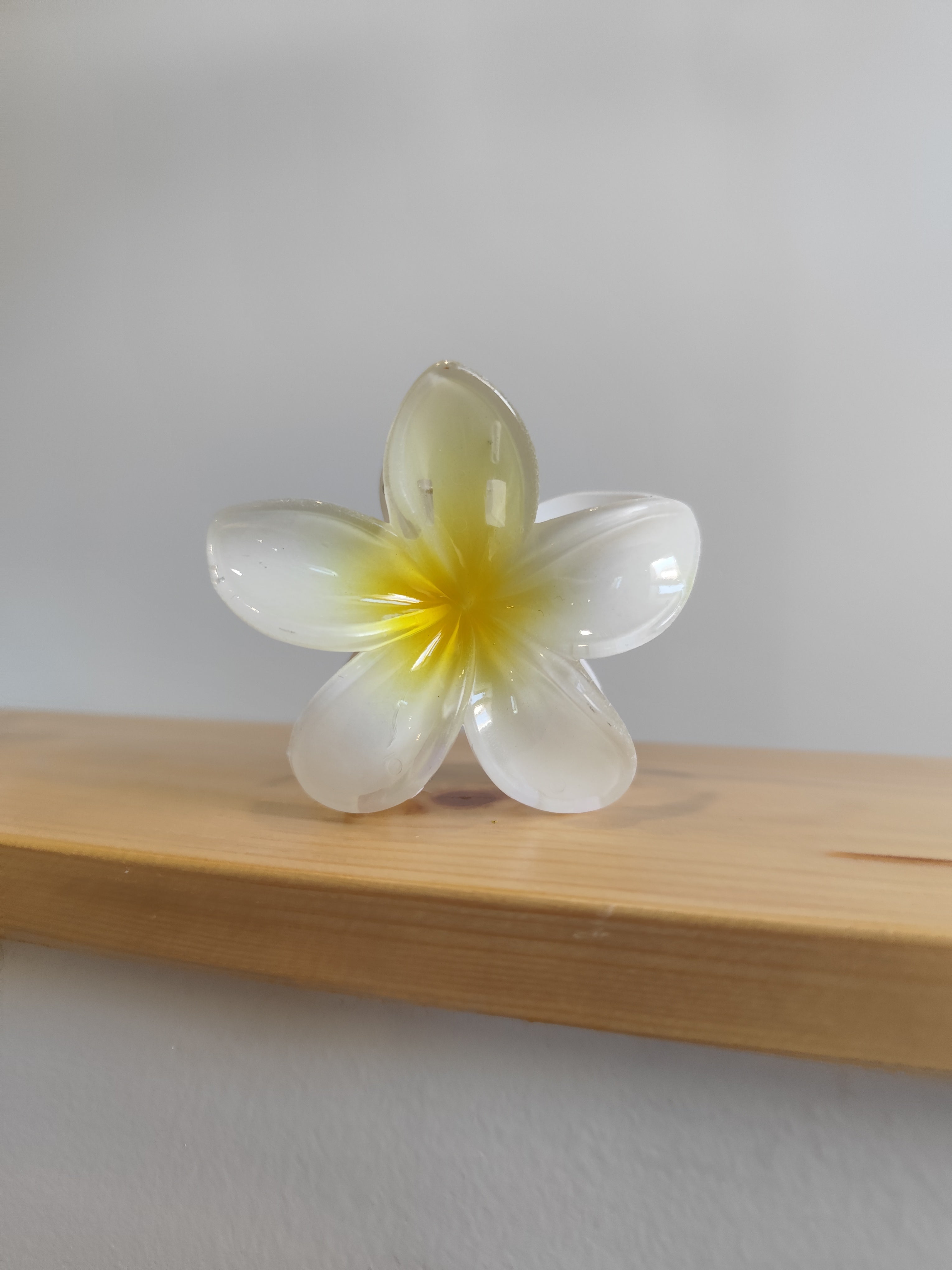 Pince à cheveux fleur de monoï – XL – 12 coloris