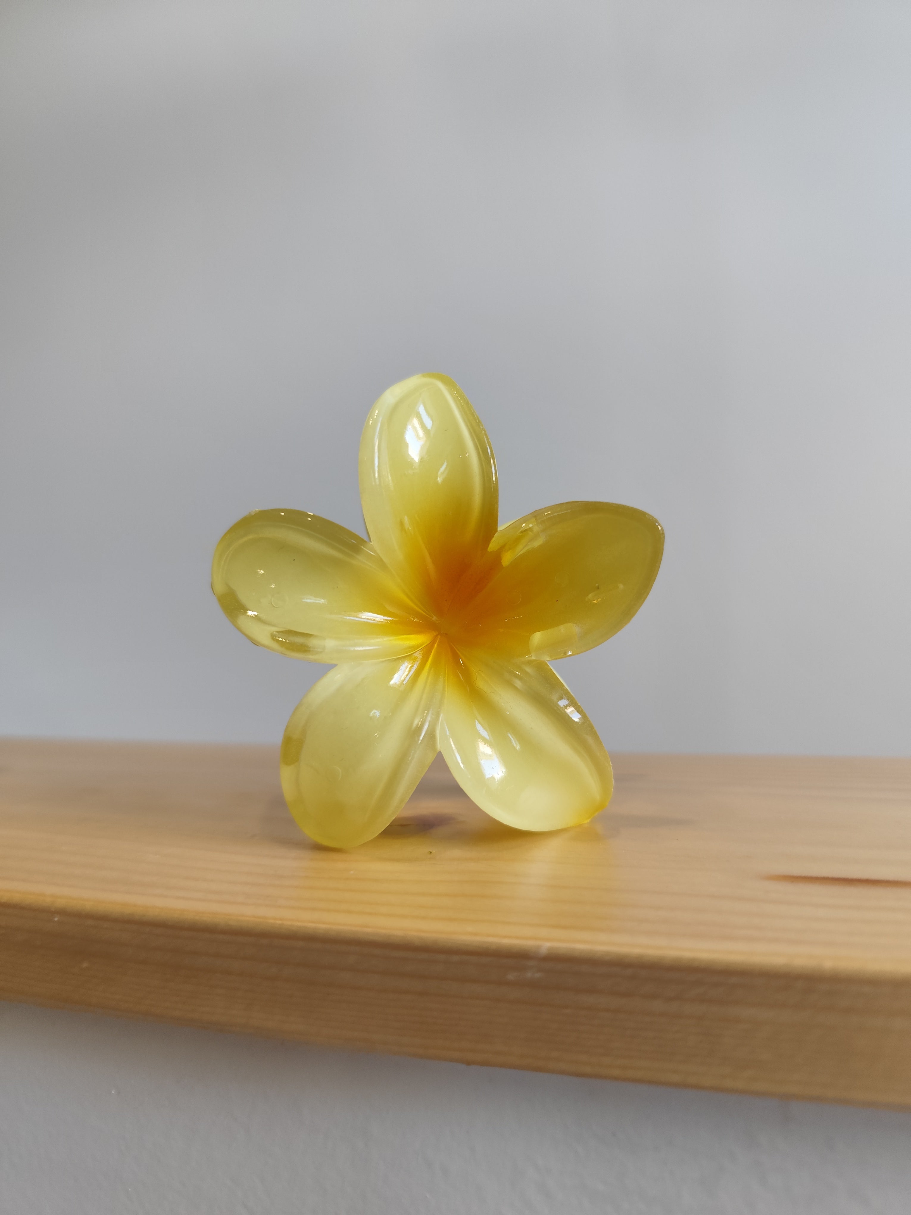 Pince à cheveux fleur de monoï – XL – 12 coloris