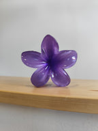 Pince à cheveux fleur de monoï – XL – 12 coloris