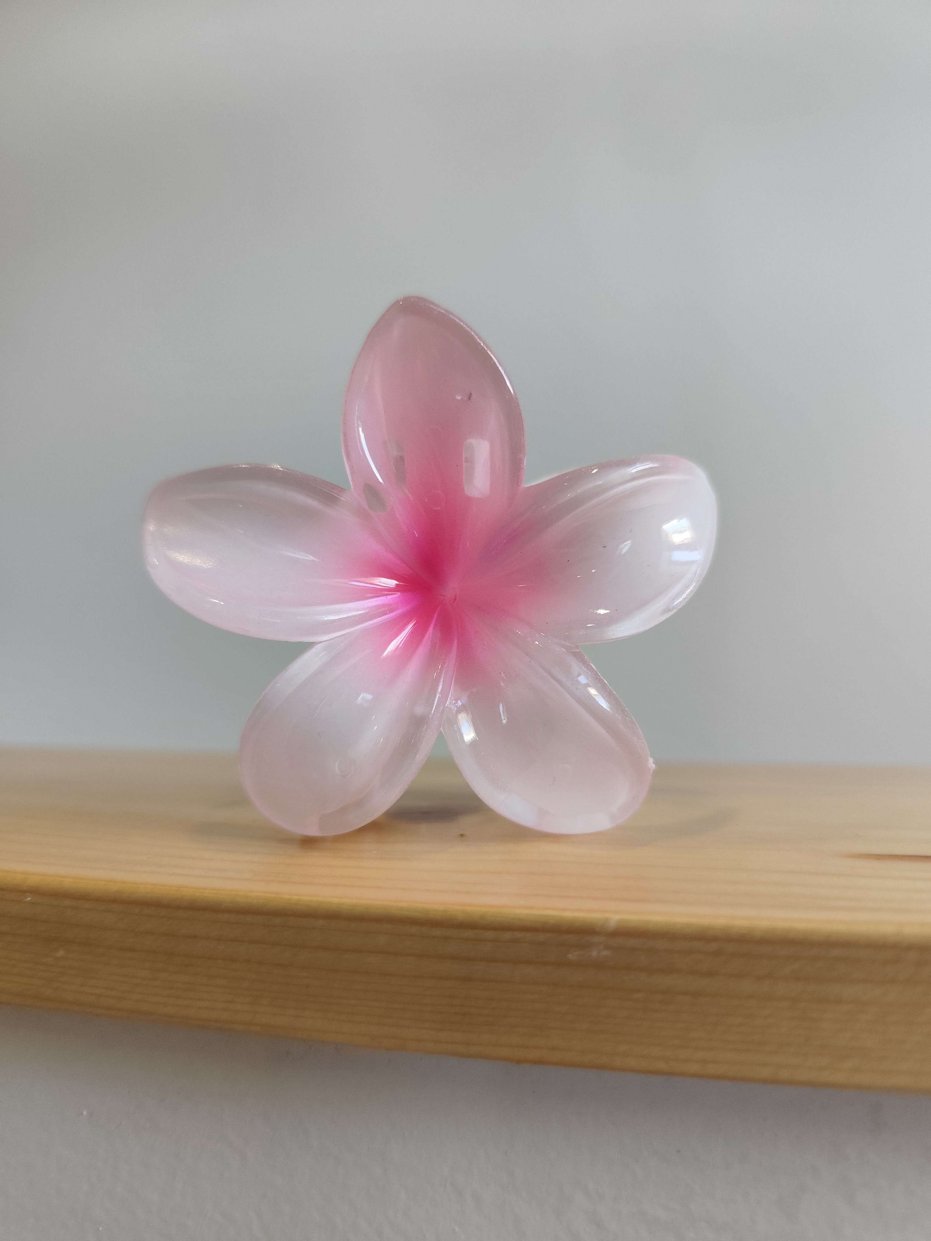 Pince à cheveux fleur de monoï – XL – 12 coloris