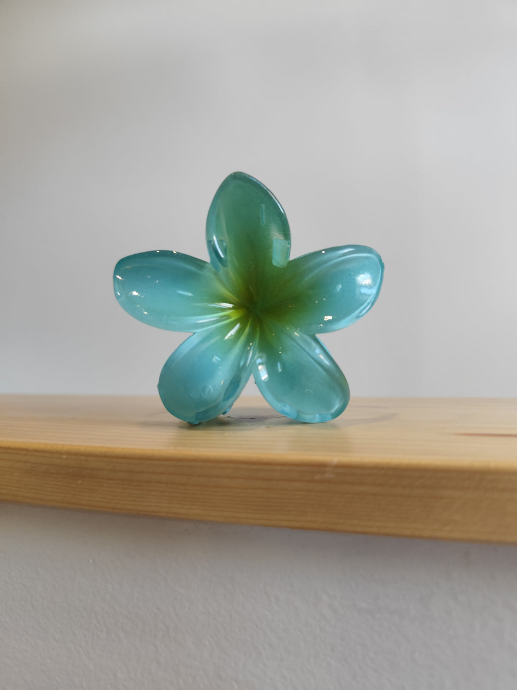 Pince à cheveux fleur de monoï – XL – 12 coloris