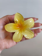 Pince à cheveux fleur de monoï – XL – 12 coloris