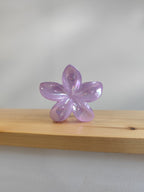 Pince à cheveux fleur de monoï – XL – 4 coloris