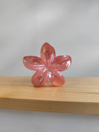 Pince à cheveux fleur de monoï – XL – 4 coloris